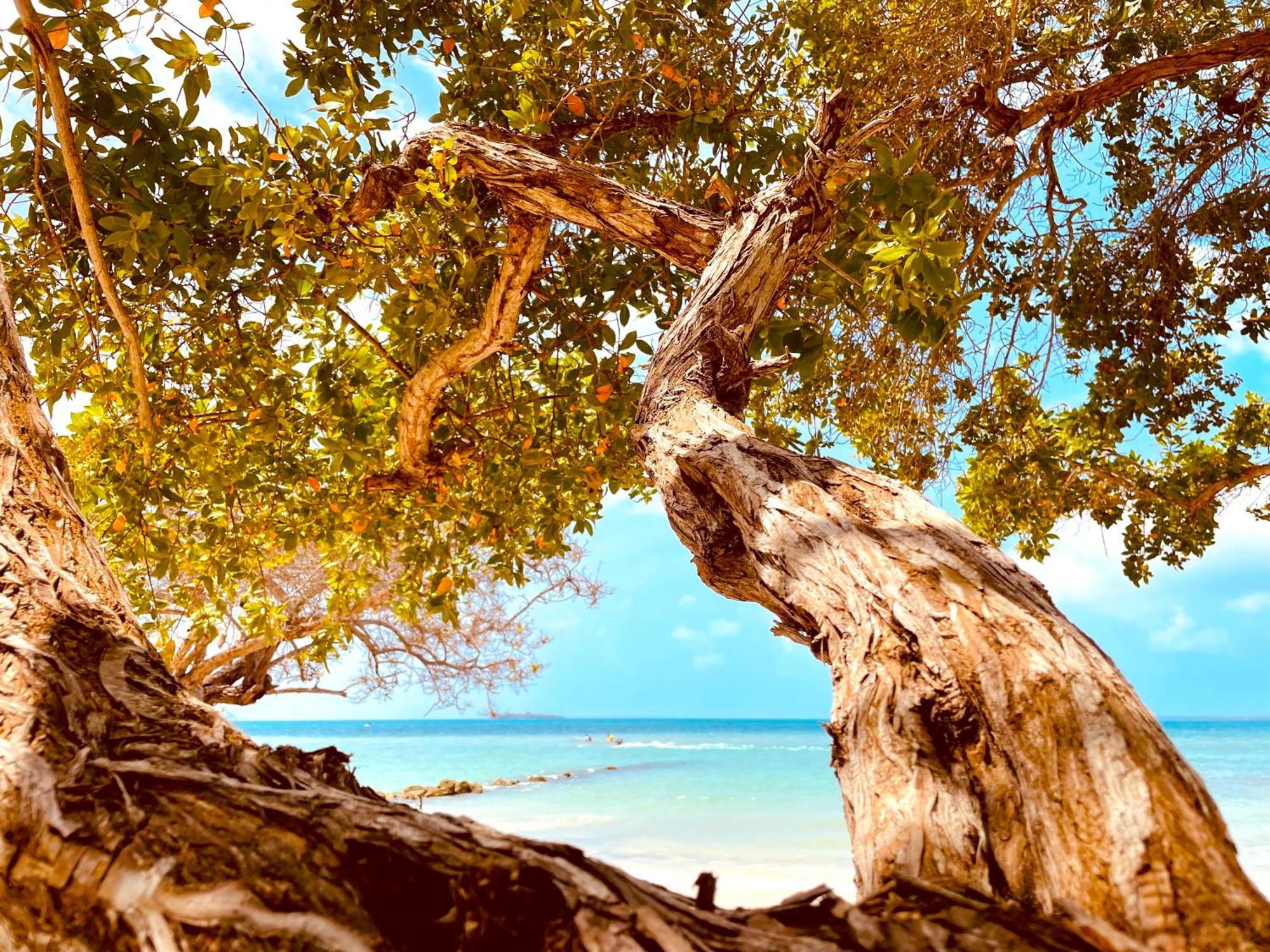 Carey Beach Isla Barú Εξωτερικό φωτογραφία