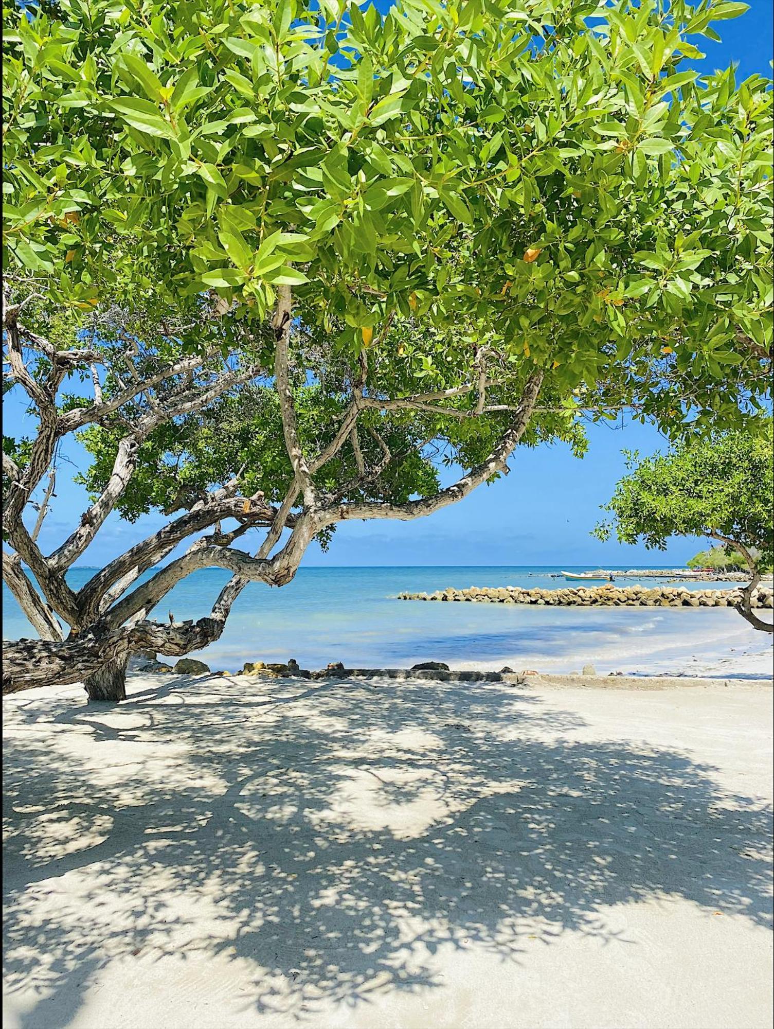 Carey Beach Isla Barú Εξωτερικό φωτογραφία